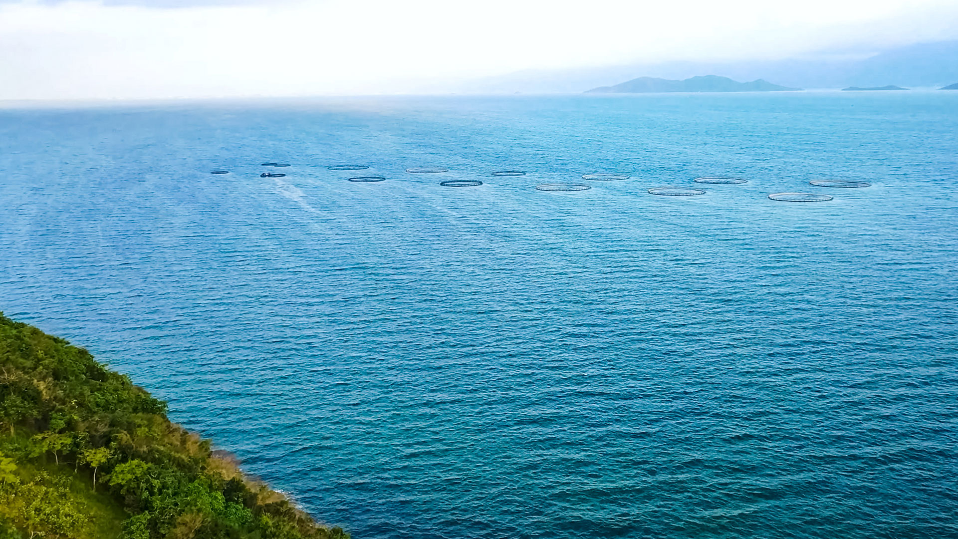 Kalankasvatusaltaita vuonossa