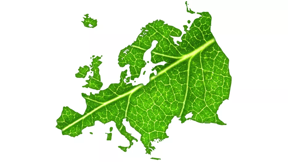 Euroopan mantereen muotoinen vihreä puun lehti.