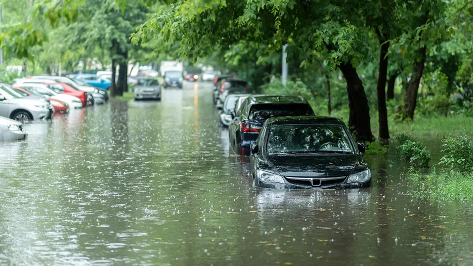 Pysäköidyt autot ovat jääneet tulvivan veden alle sateisessa puistossa.